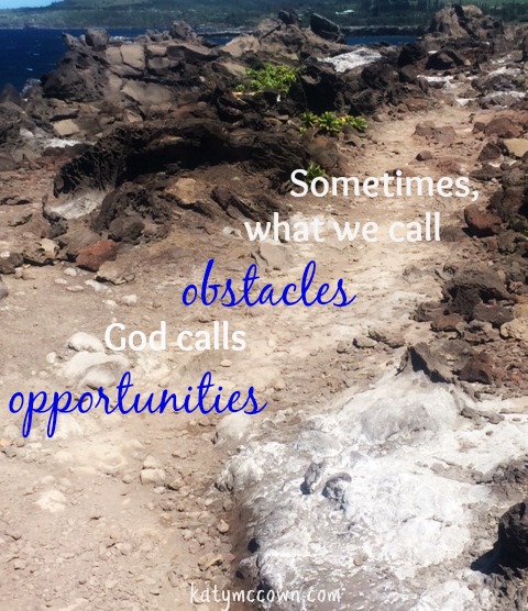 Obstacle or Opportunity?